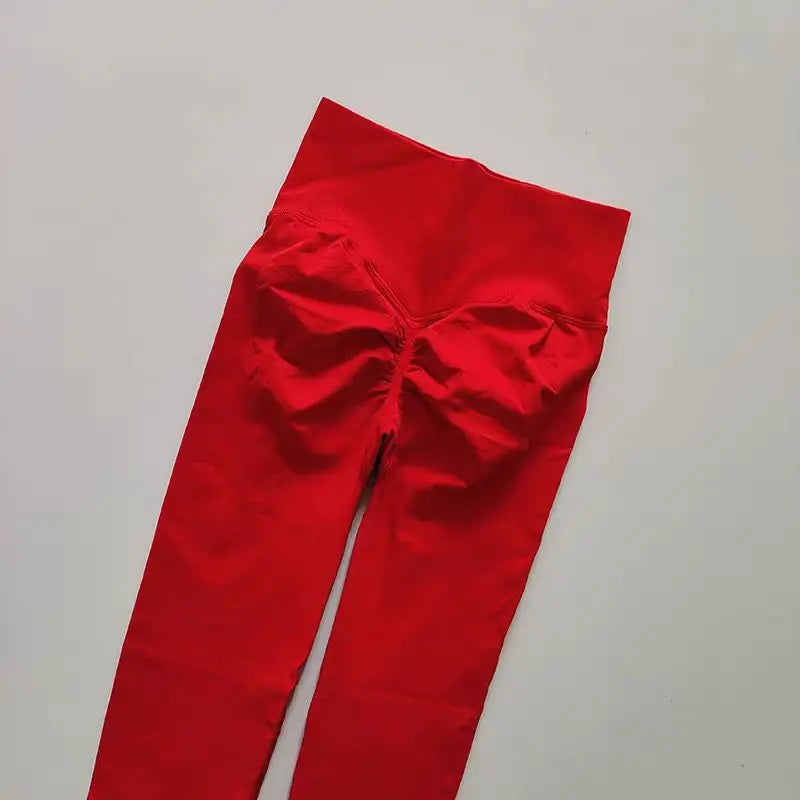 FlexLift Seamless Leggings